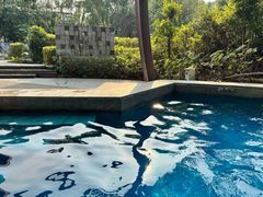 -台山颐和温泉城