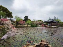-无锡蠡湖国家湿地公园-蠡园