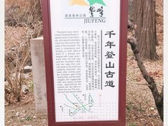 -北京鹫峰国家森林公园