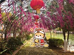 -张公山寨景区