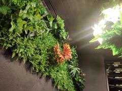 -时光里音乐餐酒吧(祥云店)