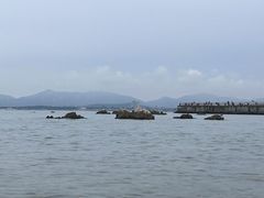 -养马岛旅游度假区