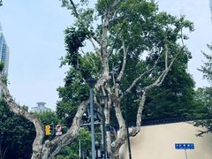 -刘长兴(逸仙桥店)