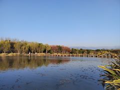 -西昌邛海湿地