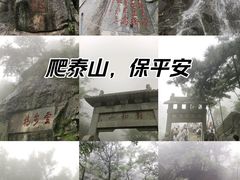 -泰山风景名胜区