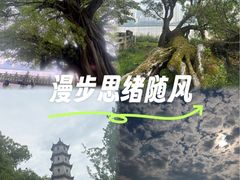 -江心屿景区