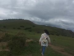 -塞罕坝国家级自然保护区