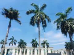 -碧桂园总部(碧江大桥店)