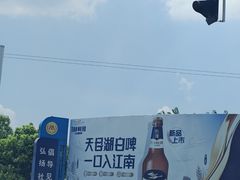 -天乐农家鱼头王(天目湖店)