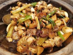 生嗜生肠-老广酒楼(樱花店)