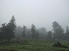 -硗碛藏寨·神木垒景区