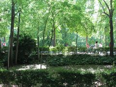 -丽池公园