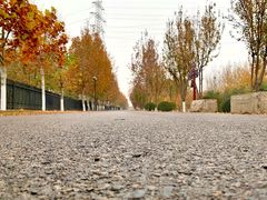 -永定河休闲森林公园