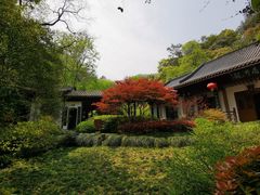-十八棵（老龙井）御茶园(老龙井店)