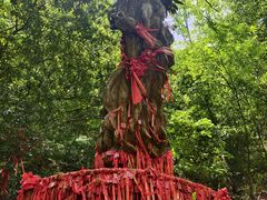 -燕子河大峡谷天坑仙境