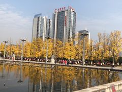 -两江幸福广场