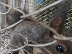 -南戴河国际娱乐中心