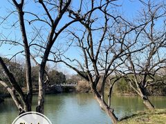 -西溪国家湿地公园