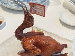 -侨美食家·40年地道粤菜(珠江新城店)
