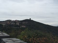 -黄贤森林公园