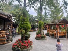 -青城甲(青城山店)