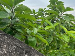 -求水山公园