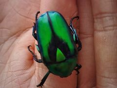 -东天目山风景区