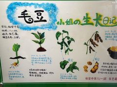 -上海昆虫博物馆