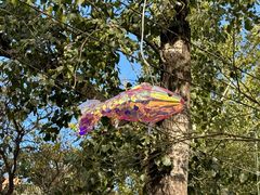 -BOCATA 西班牙餐厅(三里屯店)