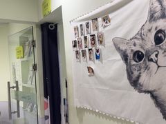 -艾吉宠物医院·疑难杂症转诊中心·猫友好(碧江路院)