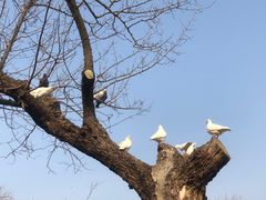 -玄武湖景区-情侣园游乐场