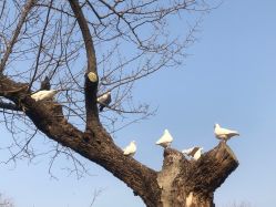 -玄武湖景区-情侣园游乐场