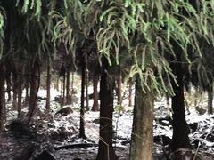 -九峰山