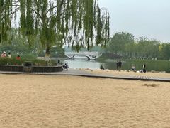 -大兴滨河森林公园