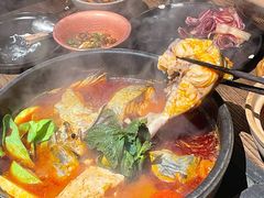 酸汤鱼-毛辣果·酸