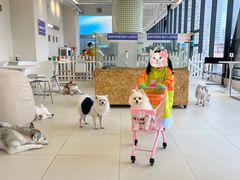 -怪兽屋·羊驼·猫咖·狗咖(俊华广场店)