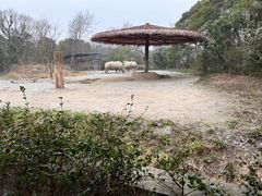 -宁波野生动物园