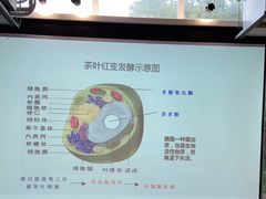 -手工艺活态馆