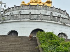 -苏州上方山国家森林公园