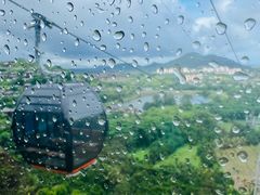 -呀诺达热带雨林