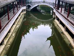 -龙潭水乡