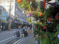 -溪岸路花鸟市场