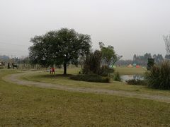 -夏河溪乡野公园