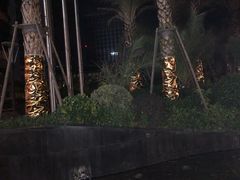 -舟山希尔顿酒店