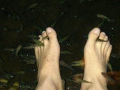 -宝丽金大酒店·洗浴中心