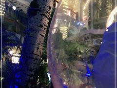 -Carmen卡门西班牙餐厅