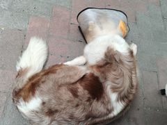 -豆舞咖啡(民乐路店)