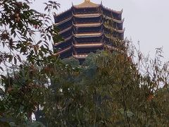 -青城山