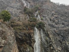 -上海辰山植物园