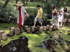 -金孔雀温泉旅游度假村